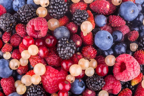 berry arka plan