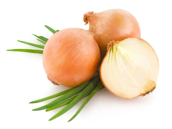 Onions isolated — Stock Photo, Image