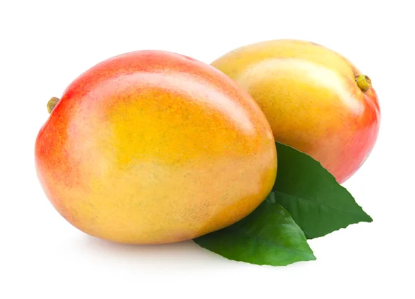 Tuore mango — kuvapankkivalokuva