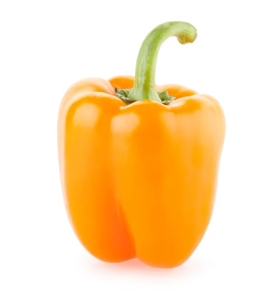 Pimentos de laranja — Fotografia de Stock