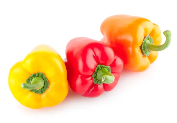 Colorful paprika peppers — Stock Photo, Image