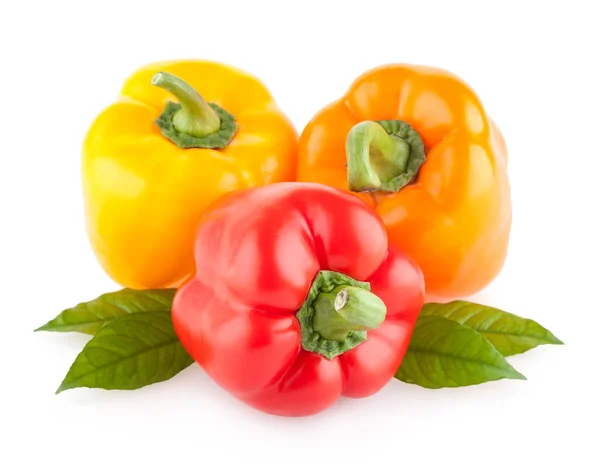 Peperoni alla paprica colorati — Foto Stock