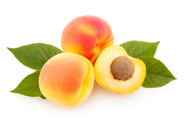 Ripe apricots — Stock Photo, Image