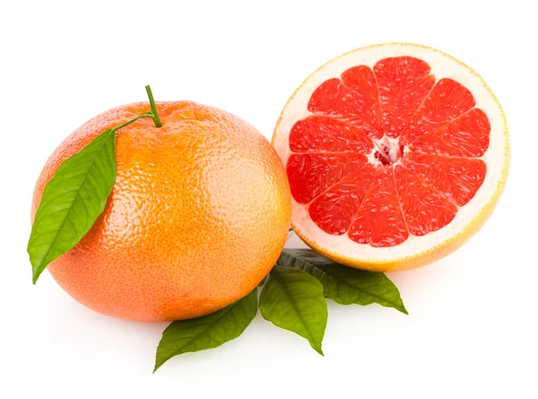 Rijp grapefruits — Stockfoto