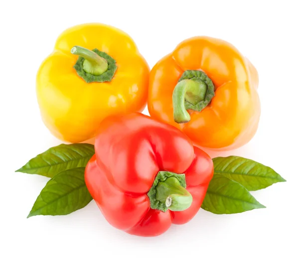 Färgglada paprika paprika — Stockfoto