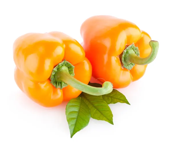 Peperoni di paprika arancione — Foto Stock