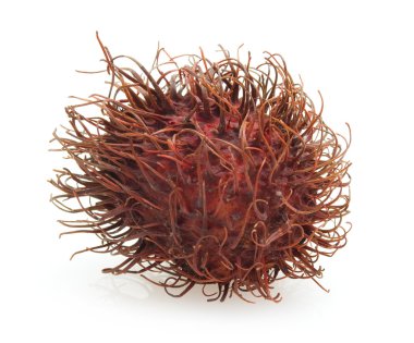 Rambutan