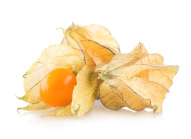 olgun physalis