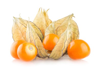 olgun physalis