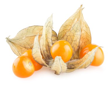 olgun physalis