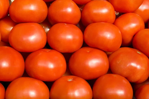 Tomato background — Stock Photo, Image