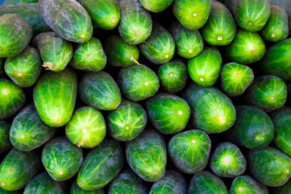 Salatalık arka plan