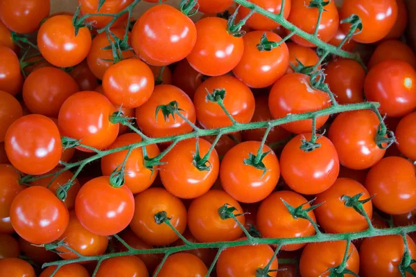 Tomatenhintergrund — Stockfoto