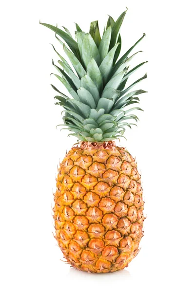 Ananas isolato — Foto Stock