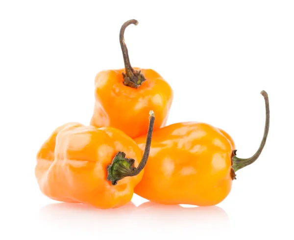 Hot cayenne peppers — Stock Photo, Image