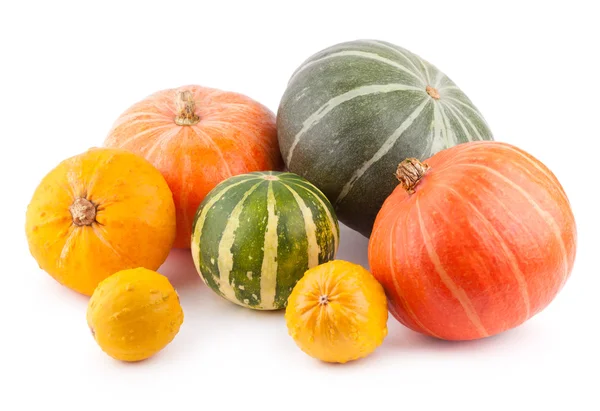 Calabazas aisladas en blanco —  Fotos de Stock