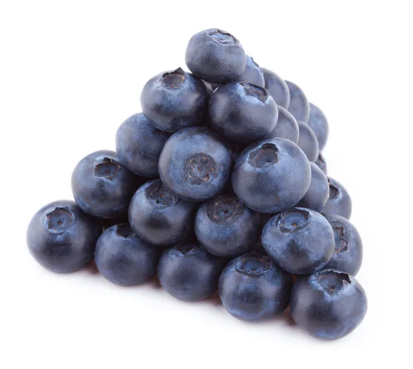 Blaubeeren — Stockfoto