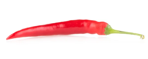 붉은 칠리 고추 — 스톡 사진