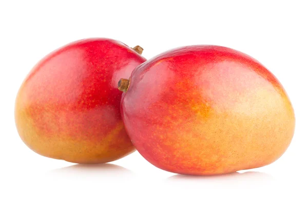 Mango fruit — Stock Photo, Image