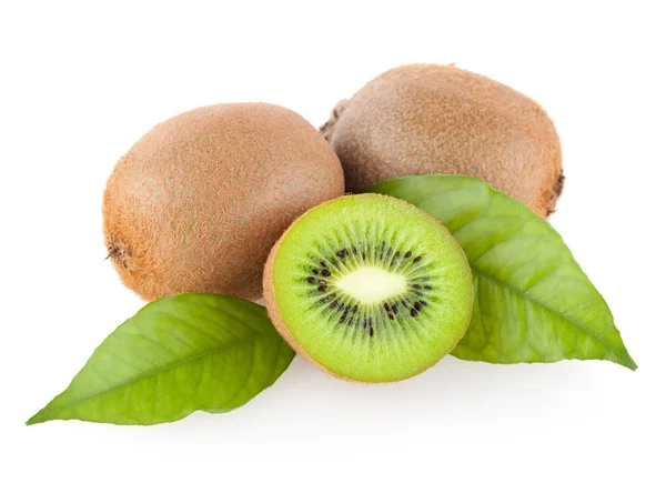 Fresh kiwi — Zdjęcie stockowe