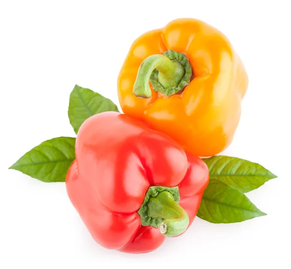 Poivrons de paprika colorés — Photo