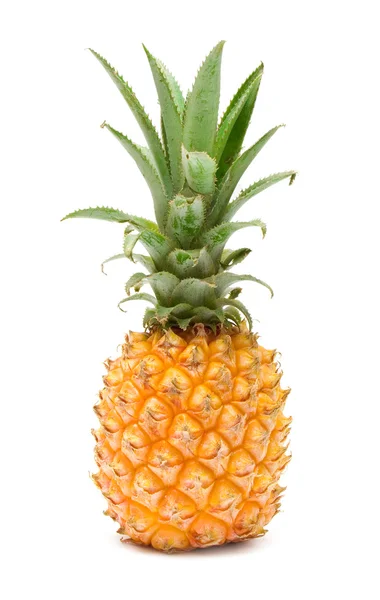 Ananas. — Stok fotoğraf