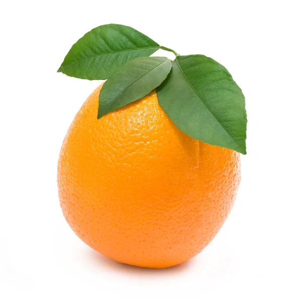 Спелый апельсин — стоковое фото