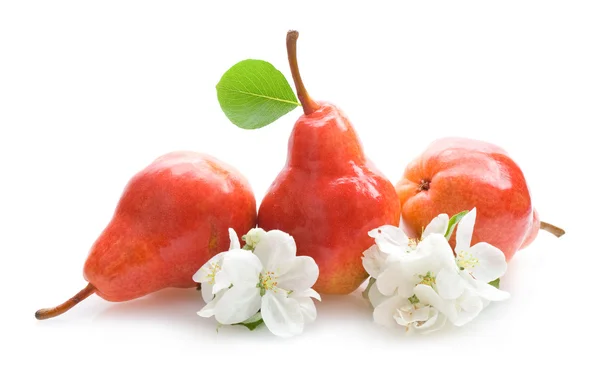 Pears and flowers — Stock Photo, Image