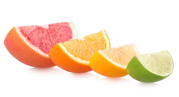 Colorful citrus slices — Stock Photo, Image