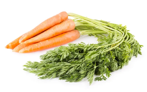 Fresh carrots — Stock Photo, Image