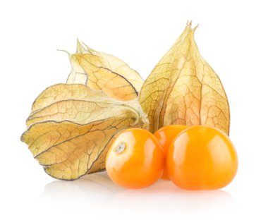 olgun physalis