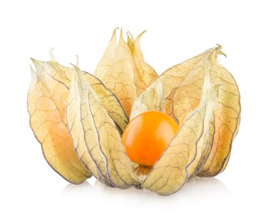 olgun physalis