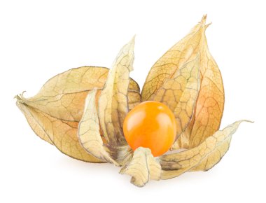 olgun physalis