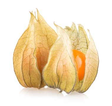 olgun physalis
