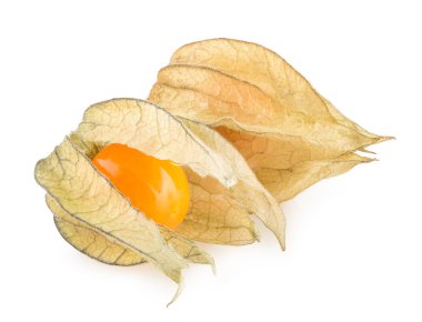 olgun physalis