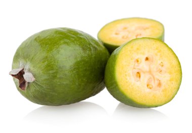 kaymak ağacı