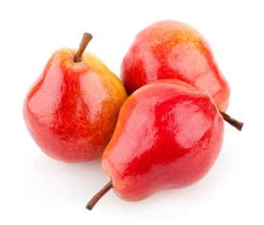 Red pears clipart