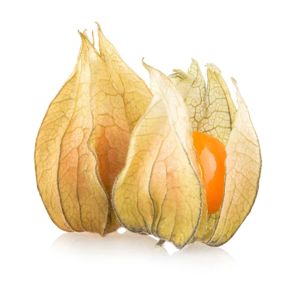 Ripe physalis — Stock Photo, Image