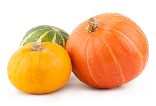 Calabazas coloridas — Foto de Stock