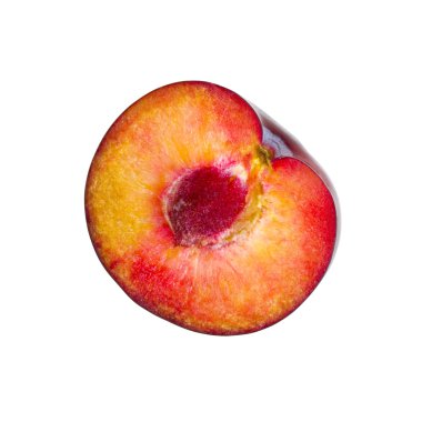 Erik 's çapraz bölüm