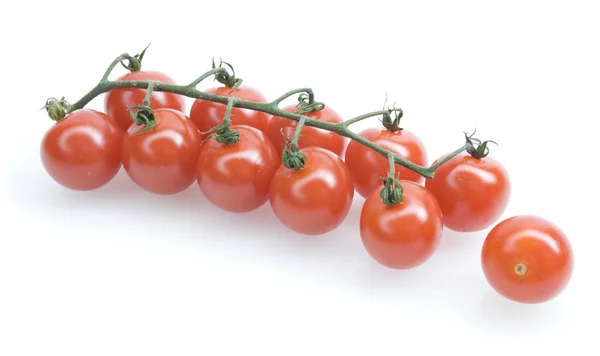 "tomate cereja " — Fotografia de Stock
