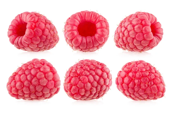 딸기의 다양 한 의견과 — 스톡 사진