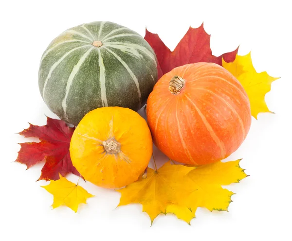 Kolorowe dynie z liści jesienią — Zdjęcie stockowe