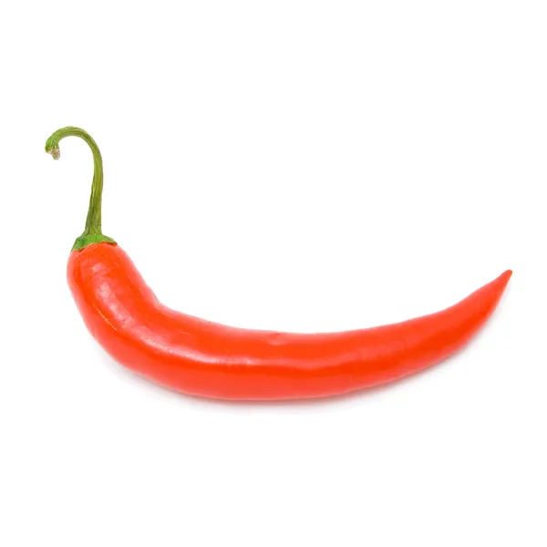 Hot chili peper — Stockfoto