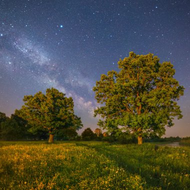 yıldızlı gece manzarası