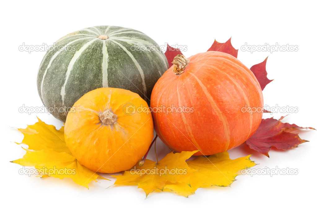 Colorful pumpkins with autumn leaves