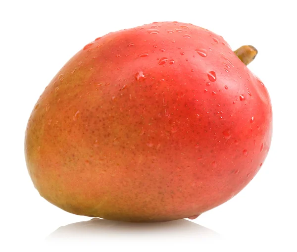 Rijpe mango — Stockfoto