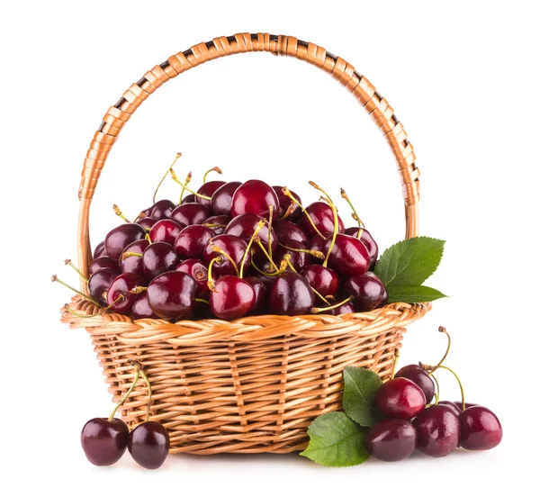 Ripe cherries in a basket — Stock Photo, Image