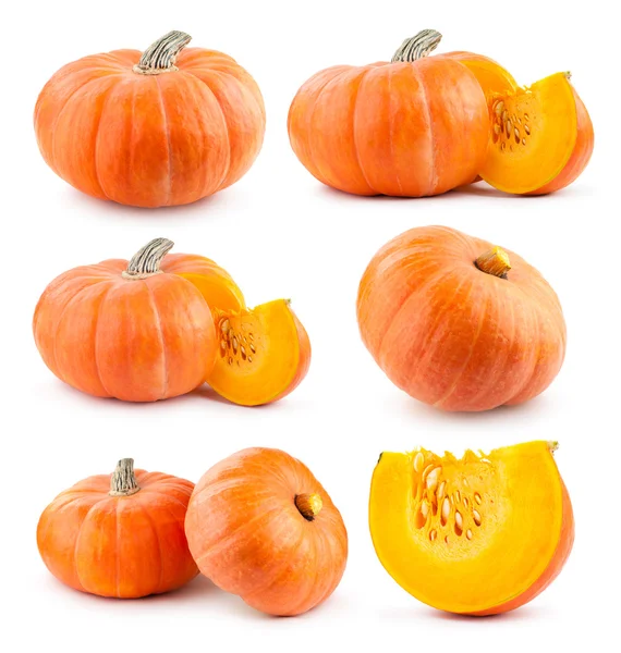 Colección de calabazas — Foto de Stock