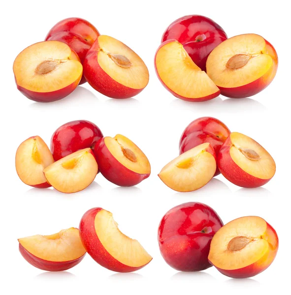 Collection of red plums — Stock Photo, Image